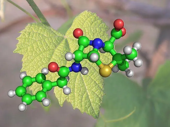 Phyto Technology